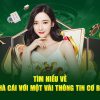 3king-Chơi và nhận thưởng với nhà cái uy tín!